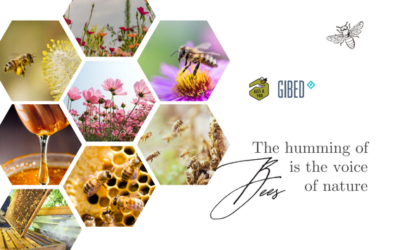 Nouvelles des abeilles – l&rsquo;été
